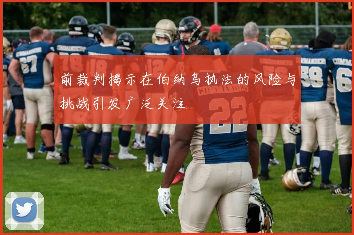 前裁判揭示在伯纳乌执法的风险与挑战引发广泛关注
