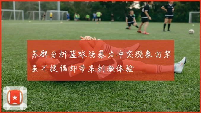 苏群分析篮球场暴力冲突现象打架虽不提倡却带来刺激体验